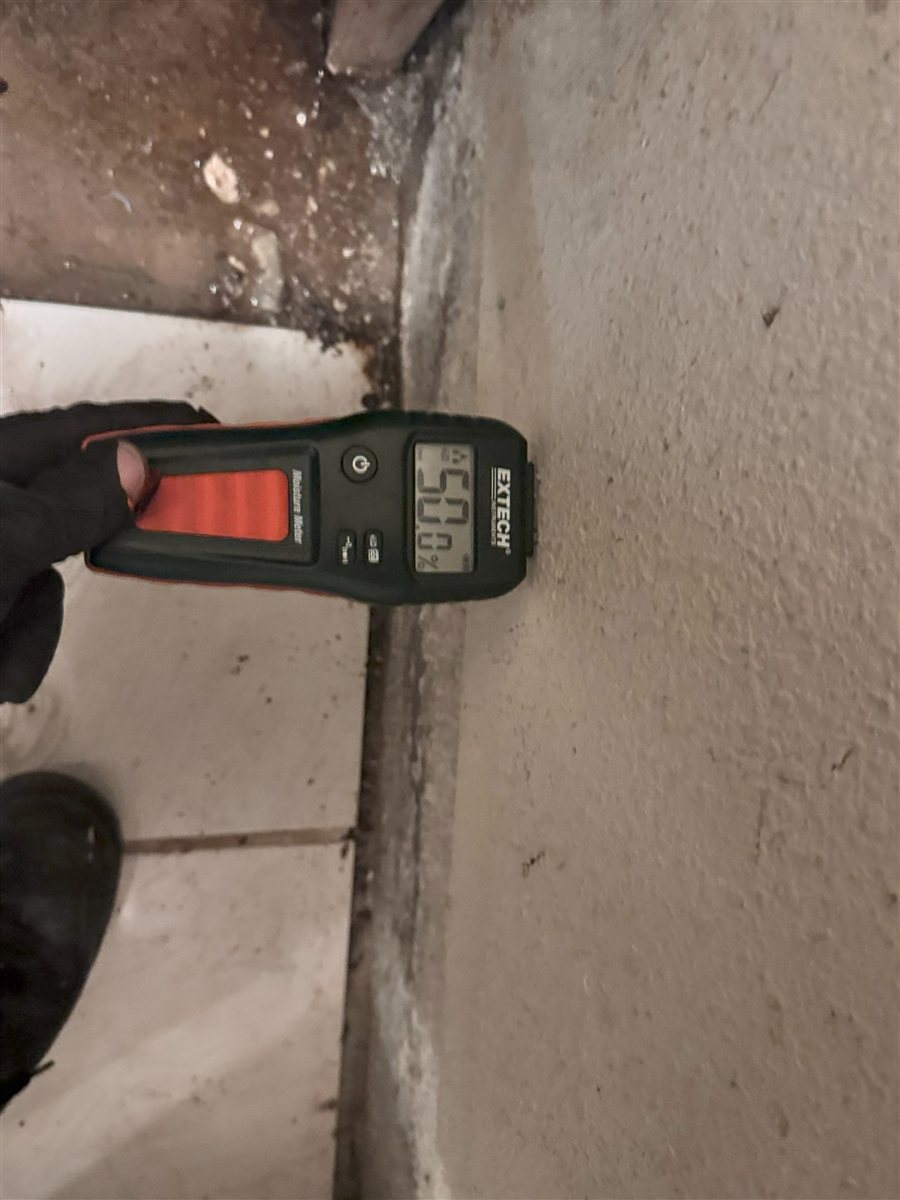 Leak detection with a moisture meter.