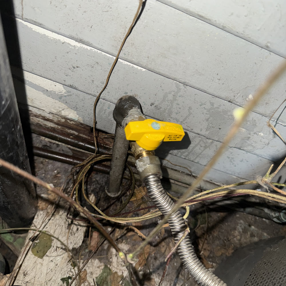 New gas shutoff valve.