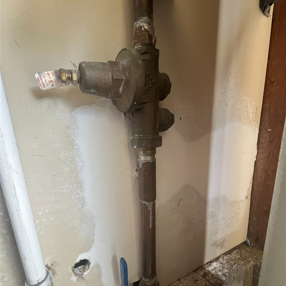 New Wilkins pressure regulator on a water line.
