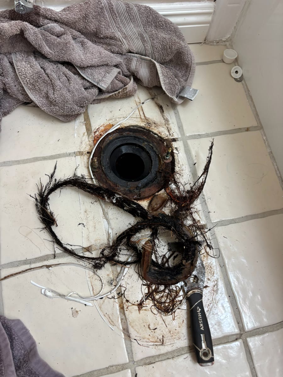 Roots pulled from a toilet flange.