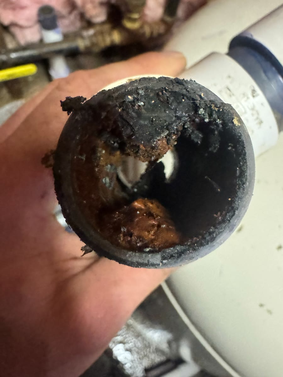 A cut section of drain pipe scaled nearly shut, held up to the camera.